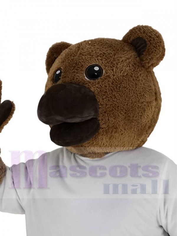 Bear mascot costume
