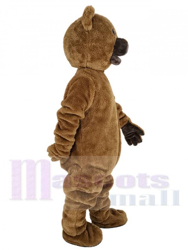 Bear mascot costume