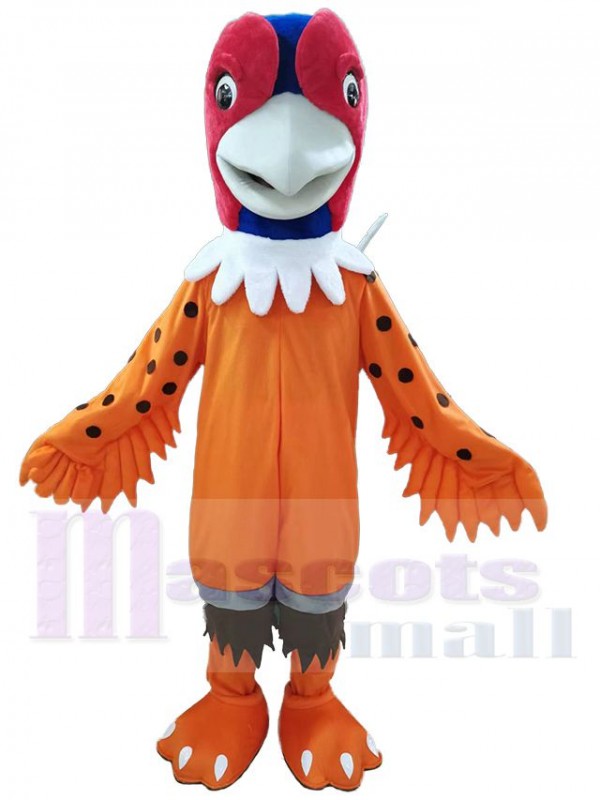 Pheasant mascot costume