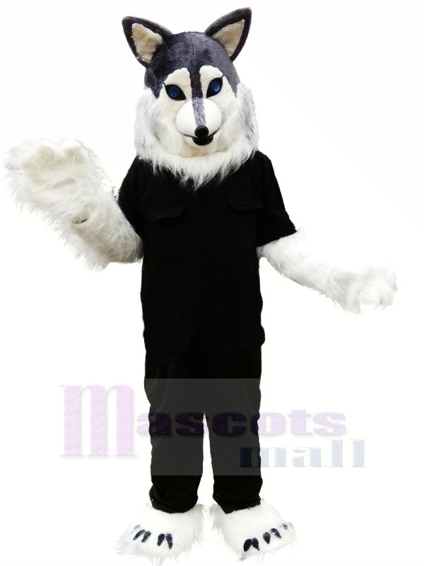 Wolf Husky in Black T-shirt Mascot Costume Animal