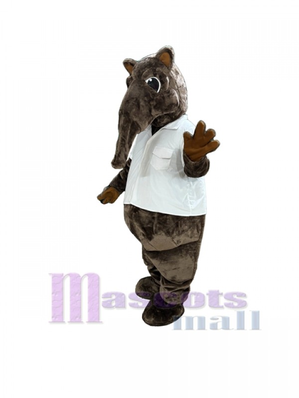 Anteater mascot costume