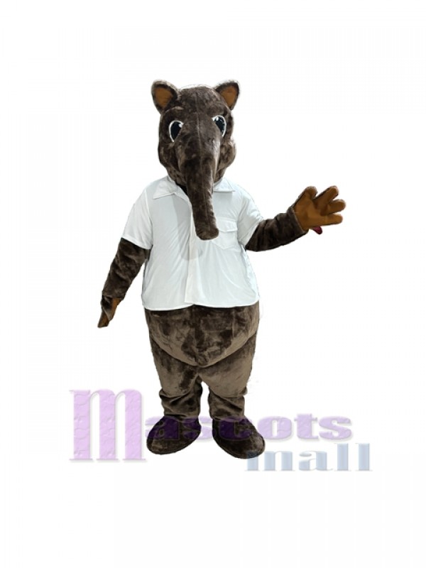 Anteater mascot costume