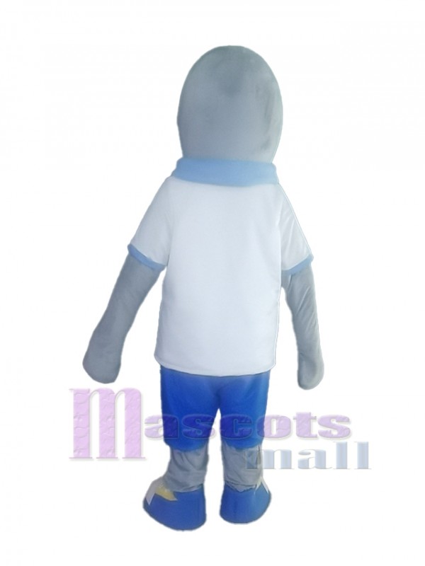 Dolphin mascot costume