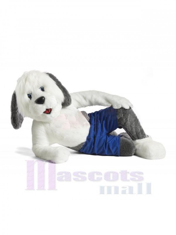 Dog mascot costume