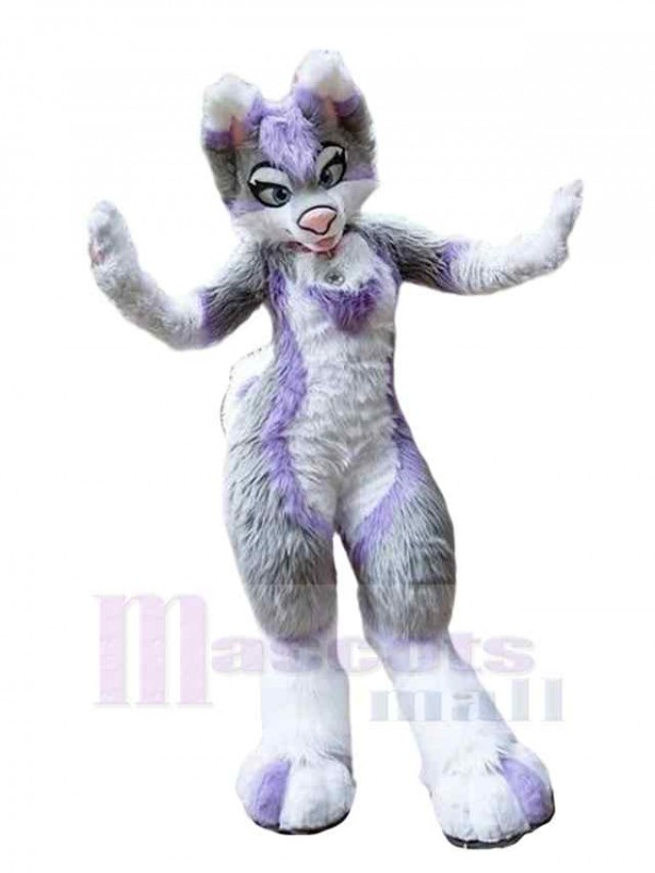 Dog mascot costume