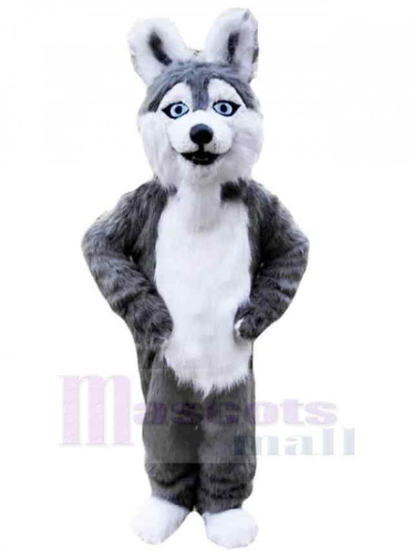 Dog mascot costume