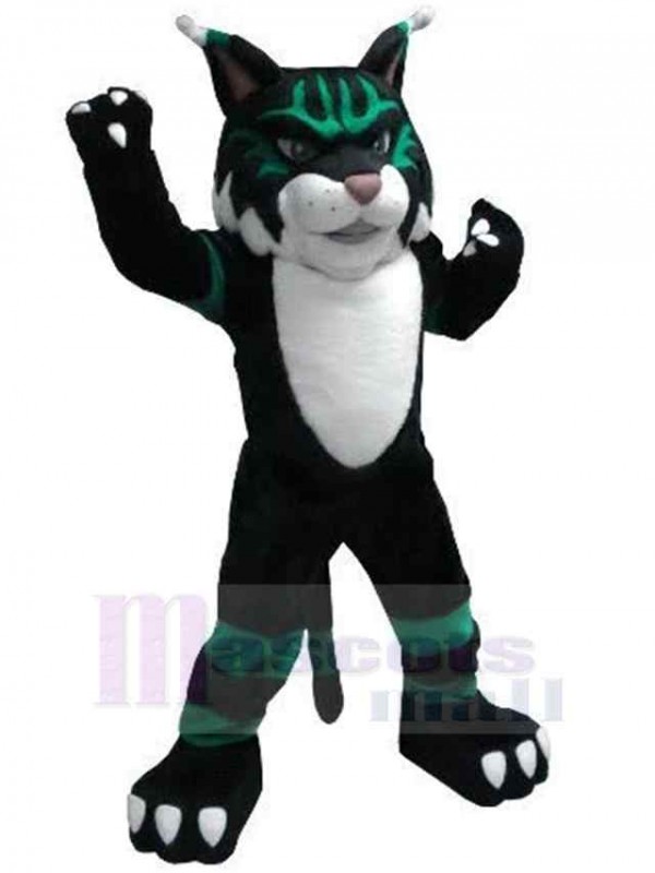 Cat mascot costume