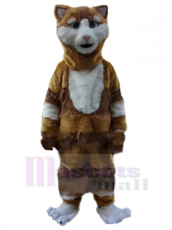 Cat mascot costume