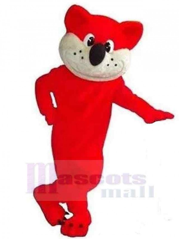 Cat mascot costume