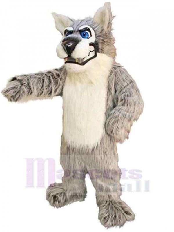 Wolf mascot costume