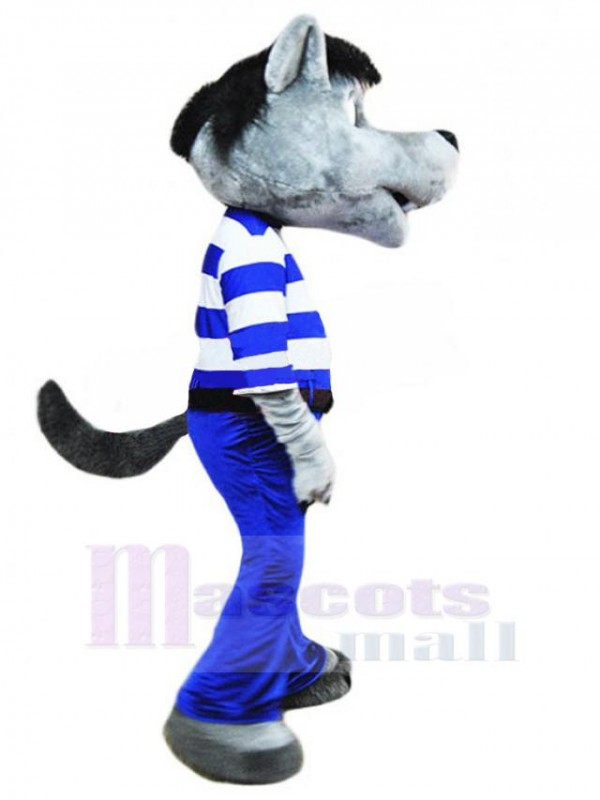 Wolf mascot costume