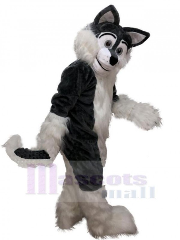 Wolf mascot costume