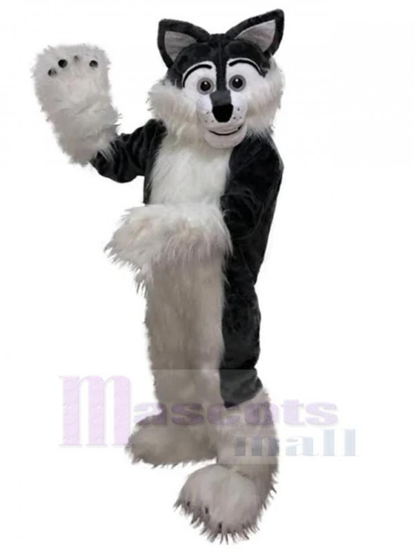 Wolf mascot costume