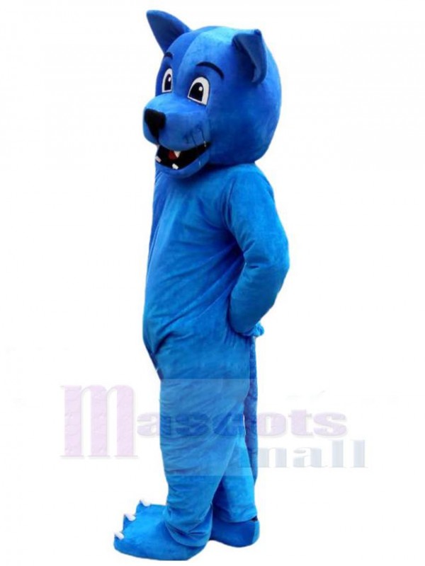 Wolf mascot costume