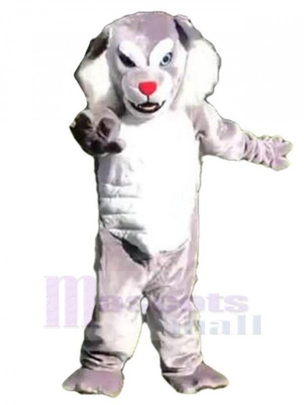Wolf mascot costume