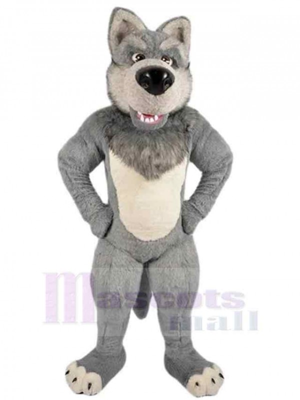 Wolf mascot costume