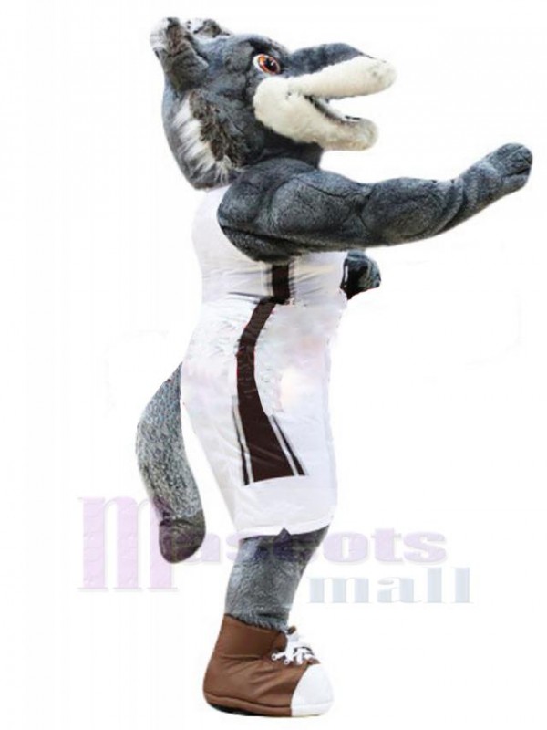 Wolf mascot costume