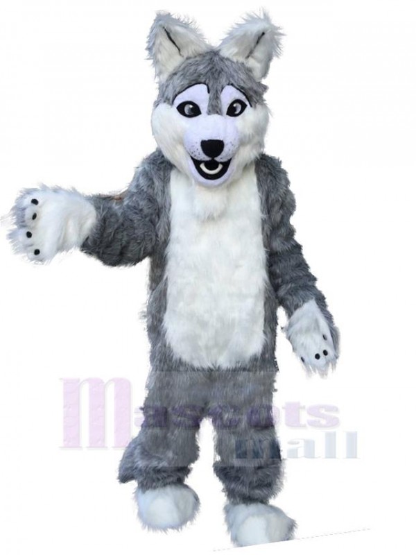Wolf mascot costume