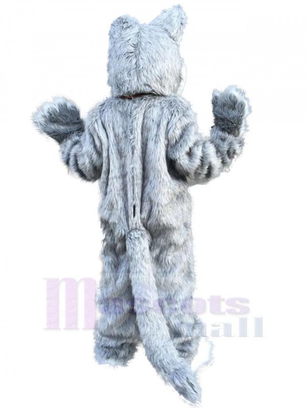 Wolf mascot costume