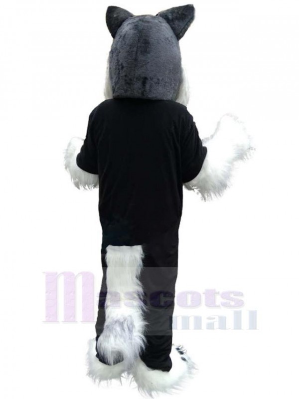 Wolf mascot costume