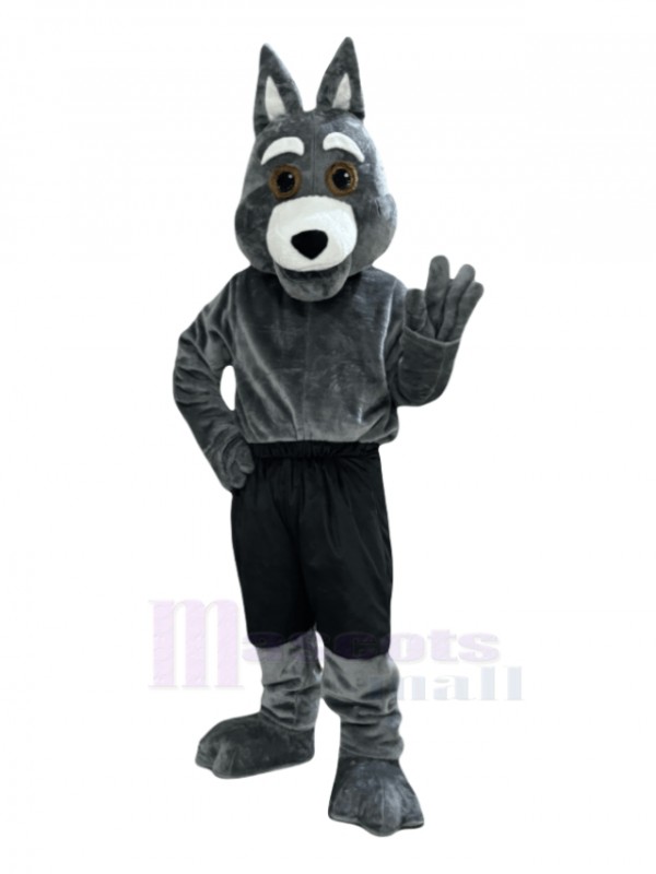 Coyote mascot costume