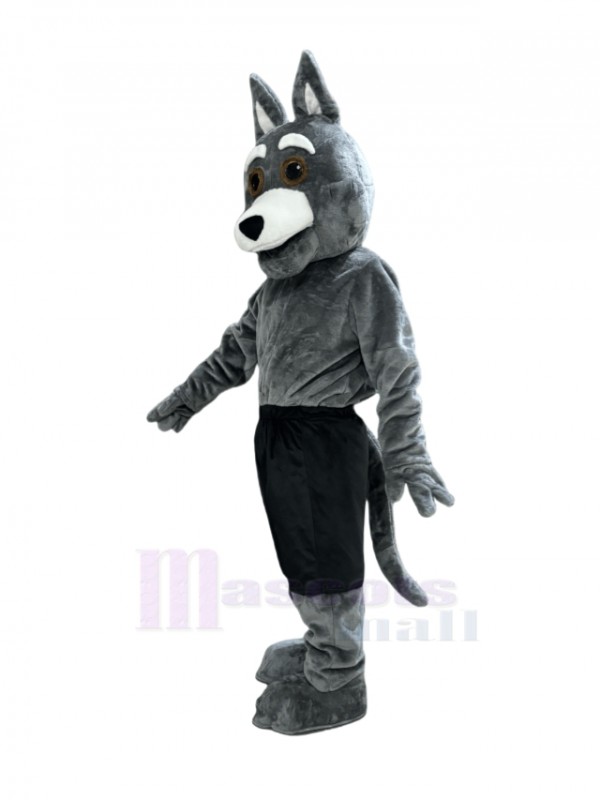 Coyote mascot costume