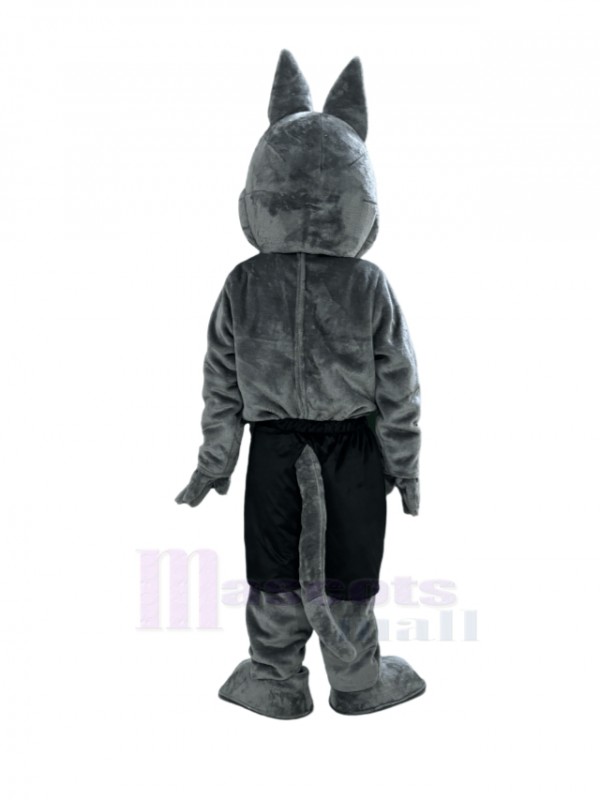 Coyote mascot costume