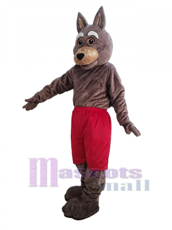 Coyote mascot costume
