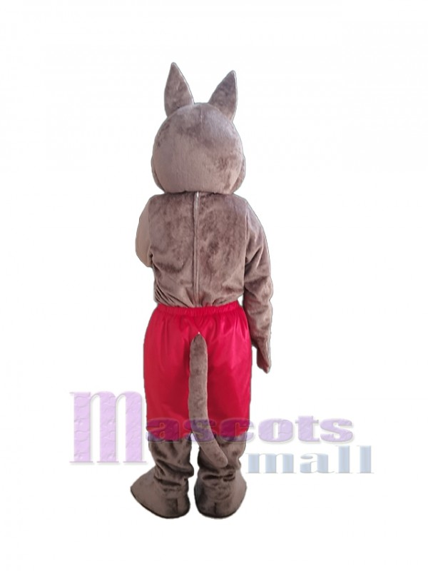 Coyote mascot costume