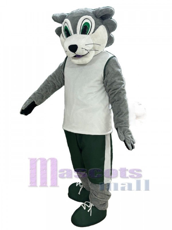 Wolf mascot costume