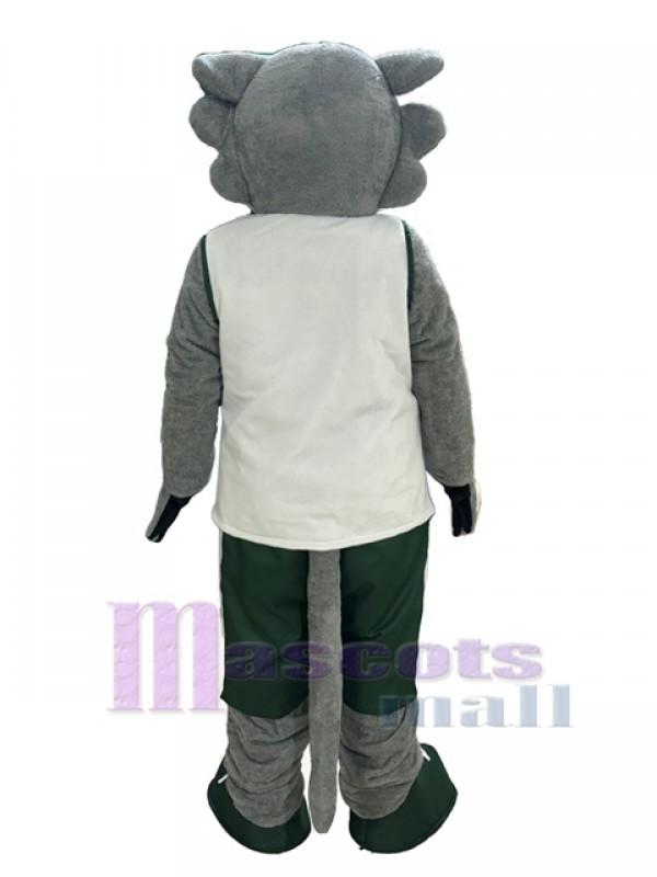 Wolf mascot costume