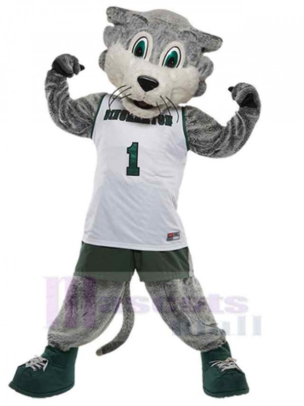 Wolf mascot costume