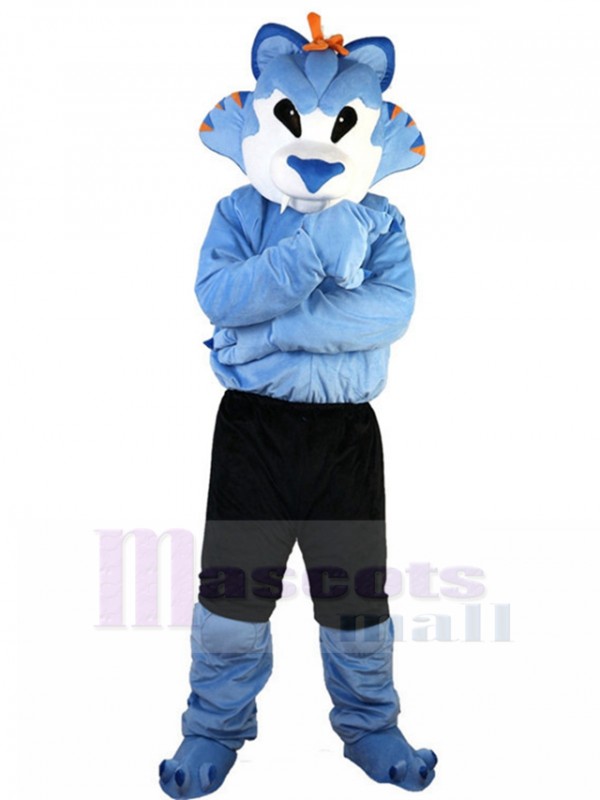 Wolf mascot costume