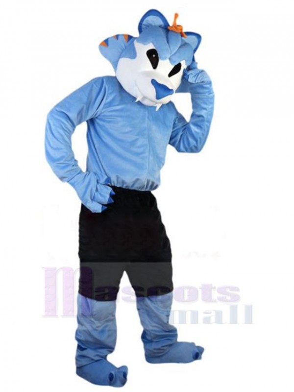 Wolf mascot costume