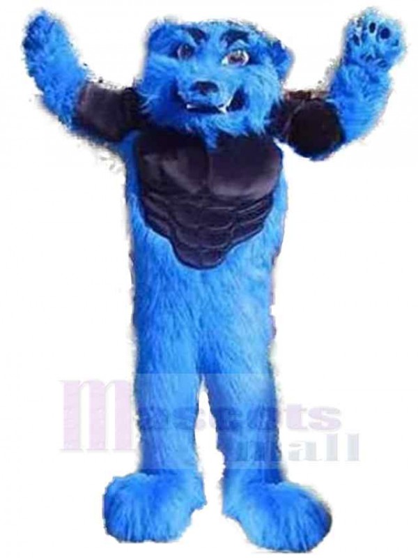 Wolf mascot costume