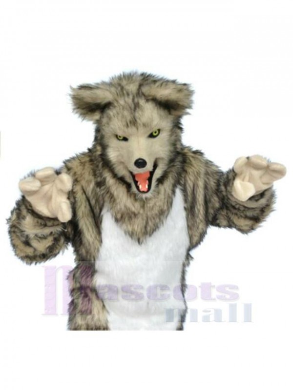 Wolf mascot costume