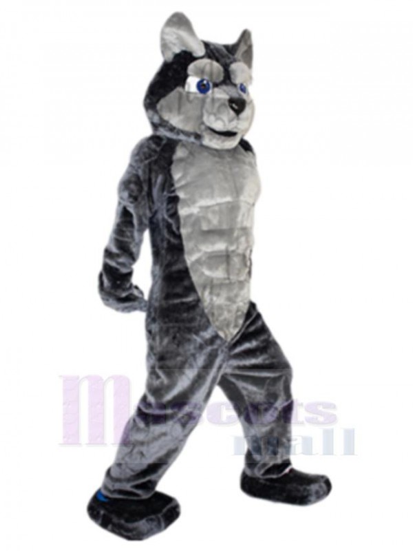 Wolf mascot costume
