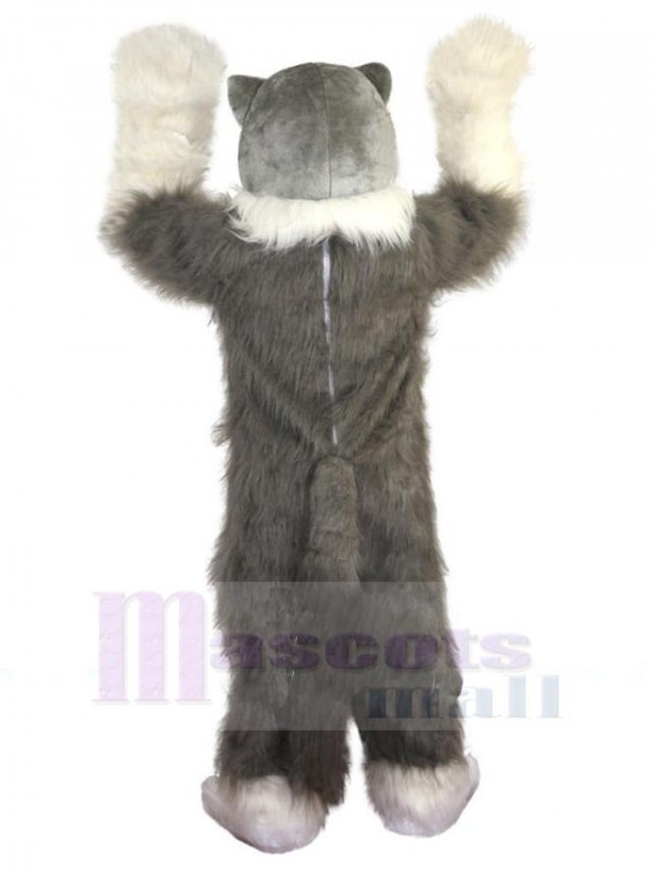 Wolf mascot costume
