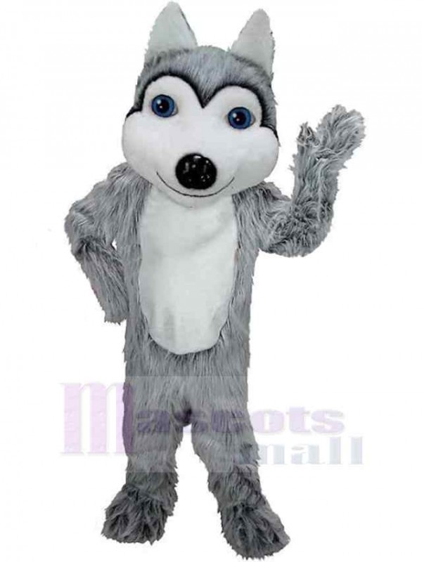 Wolf mascot costume