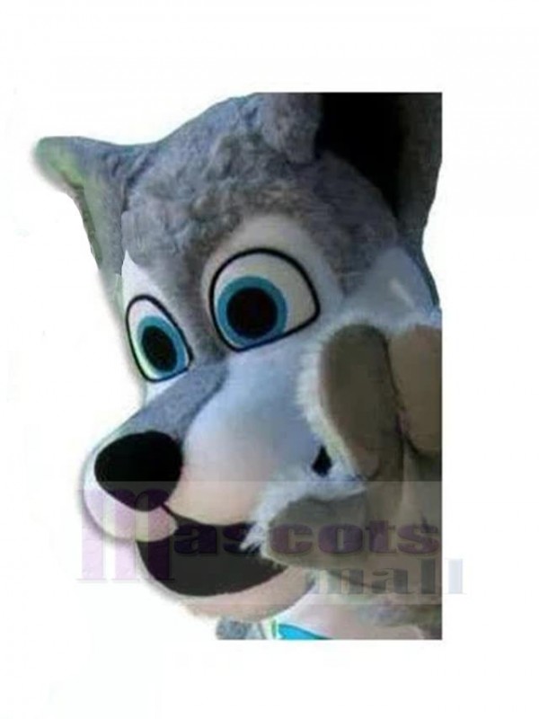 Wolf mascot costume
