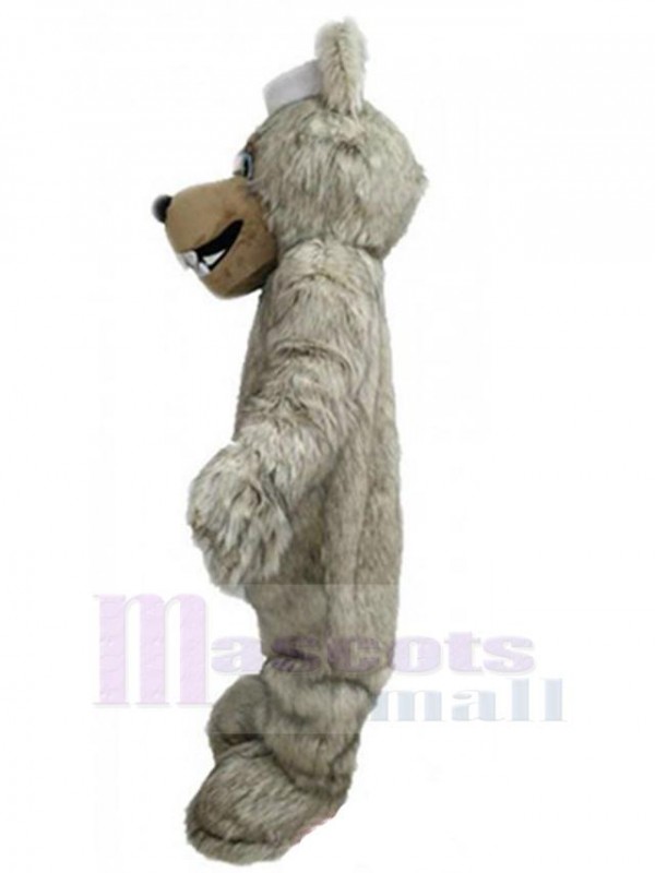 Wolf mascot costume