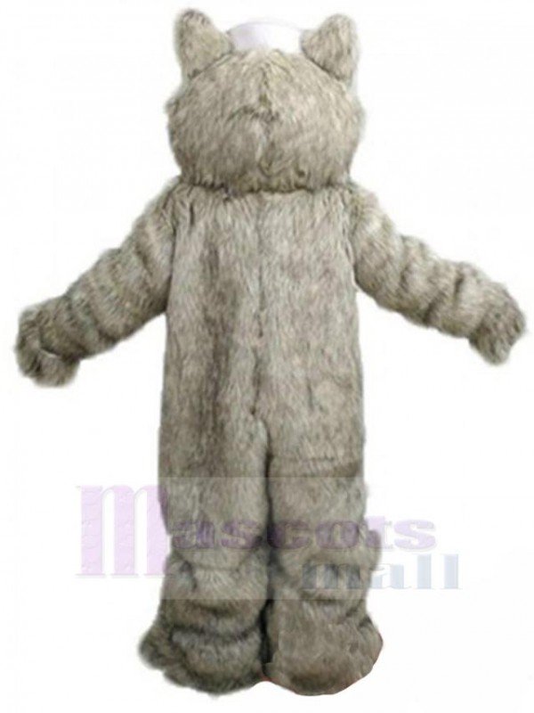 Wolf mascot costume