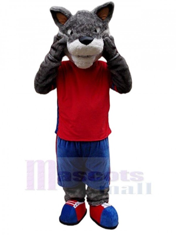 Wolf mascot costume