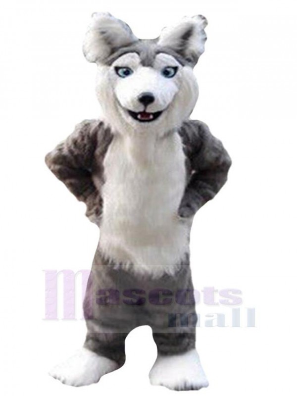 Wolf mascot costume