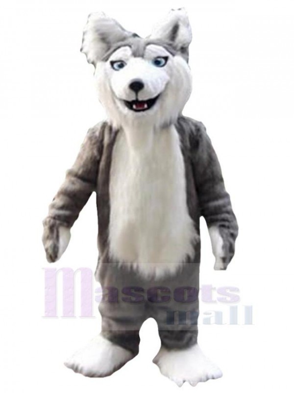 Wolf mascot costume
