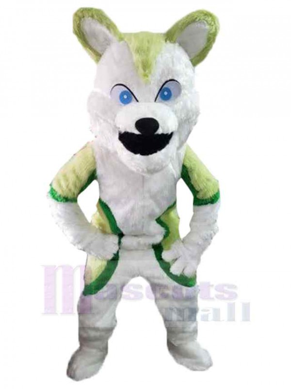 Wolf mascot costume