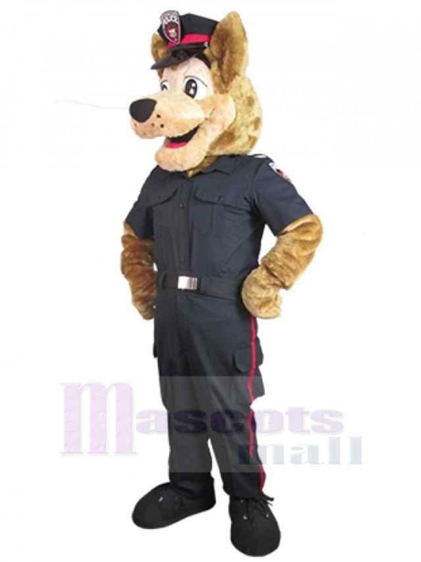 Wolf mascot costume