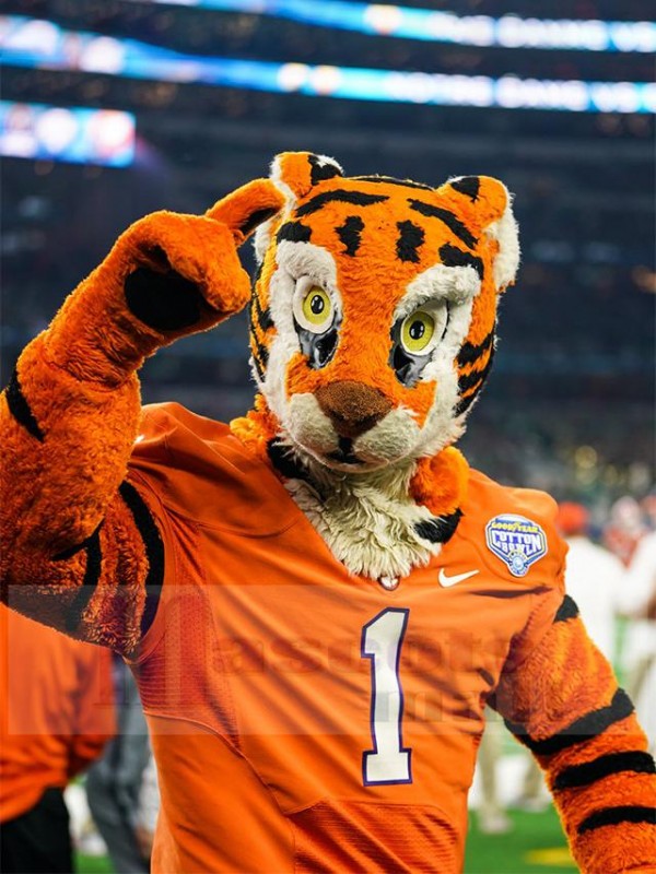 Tiger mascot costume