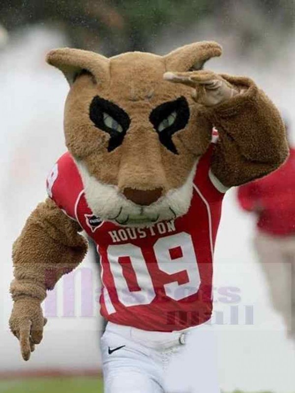 Tiger mascot costume