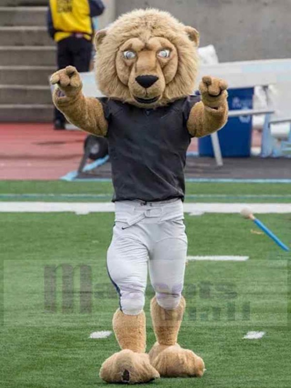 Lion mascot costume